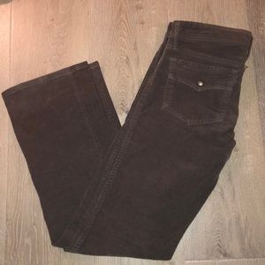 Sanctuary gray corduroy pants